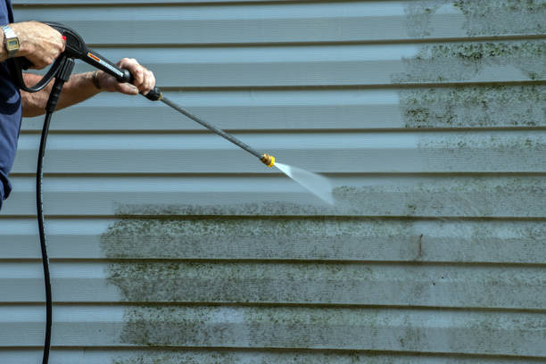 Best Sidewalk and Walkway Cleaning  in Clayton, AL