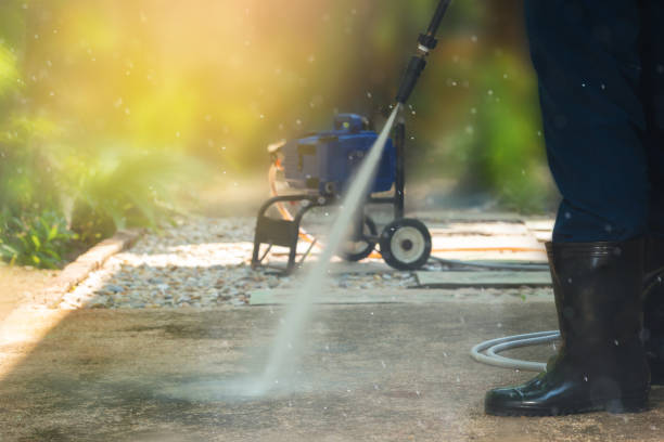 Best Solar Panel Cleaning  in Clayton, AL